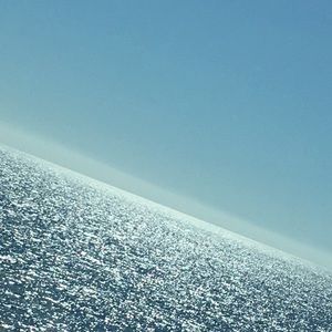 Meet your Posher, Ginger